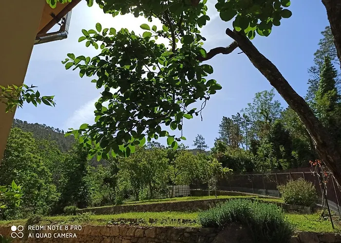 Le Cicale E La Formica Frühstückspension Casarza Ligure