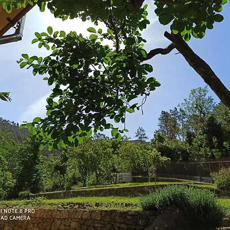 Le Cicale E La Formica Bed & Breakfast Casarza Ligure